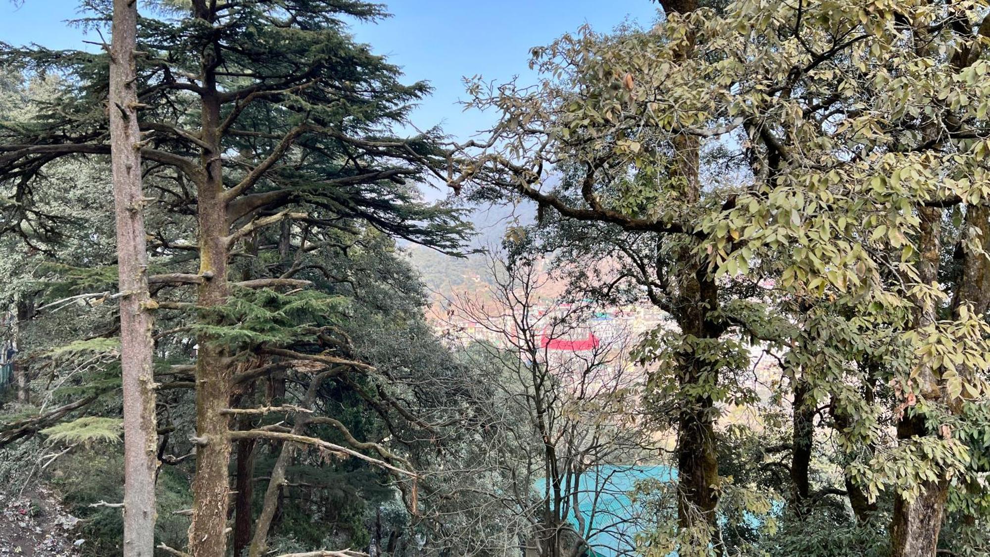 Hotel Pride Inn - 800 Mts From Mall Road Mussoorie Exteriör bild