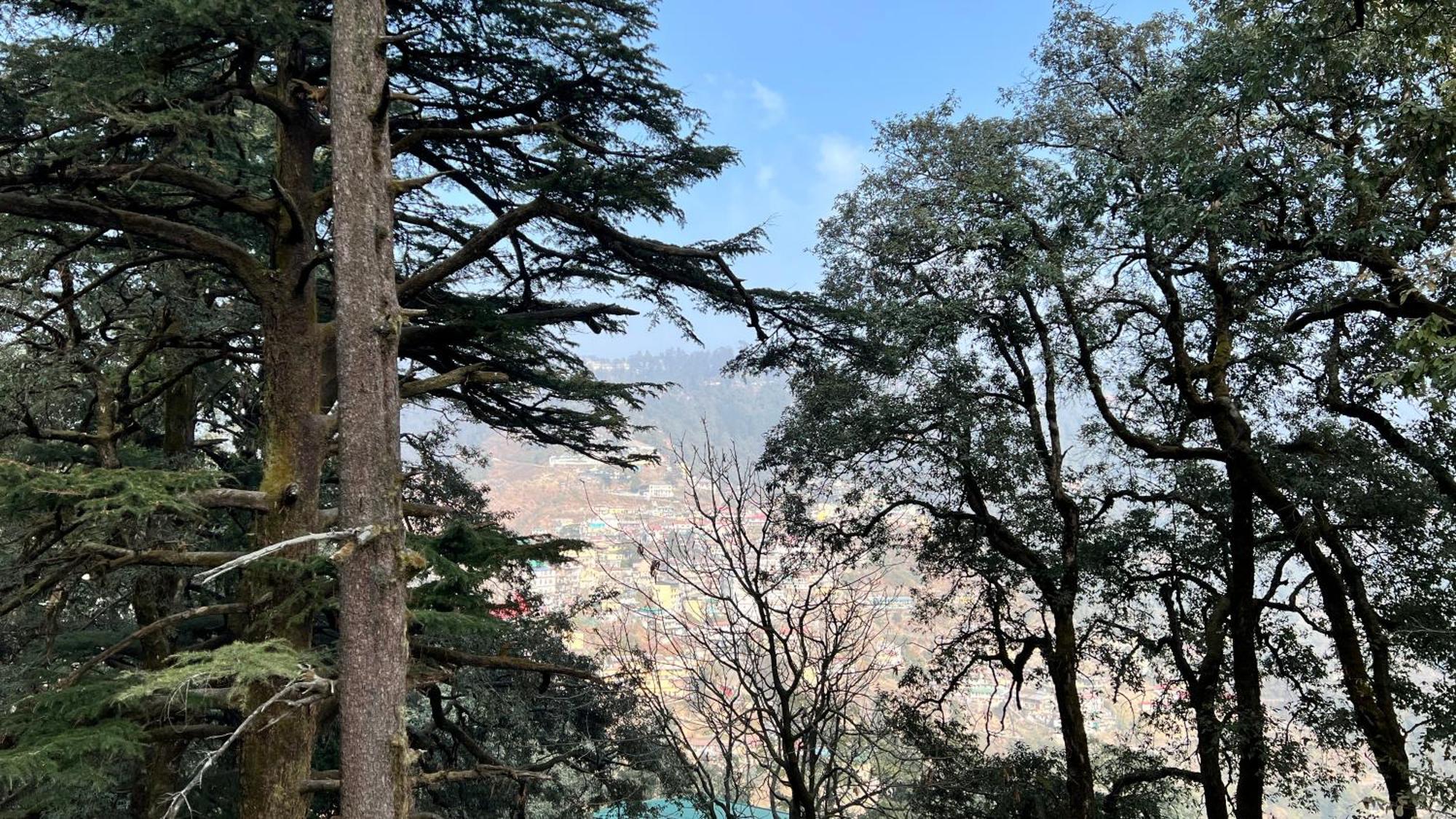 Hotel Pride Inn - 800 Mts From Mall Road Mussoorie Exteriör bild